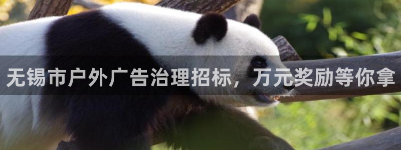 杏宇平台代理