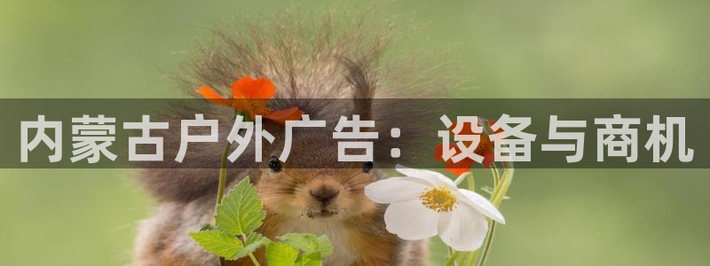 杏宇平台登录步骤图