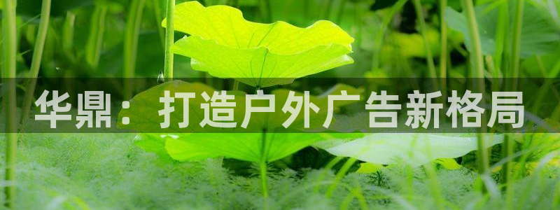 杏宇平台怎么样知乎