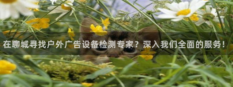 杏宇平台总代理：在聊城寻找户外广告设备检测专家？深入我们全面的服务！