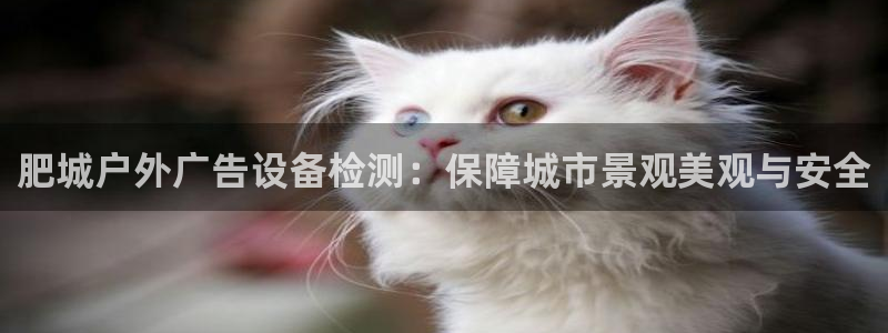 杏宇平台官网注册：肥城户外广告设备检测：保障城市景观美观与安全