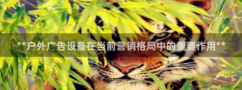 杏宇平台注册地址：**户外广告设备在当前营销格局中的重要作用**