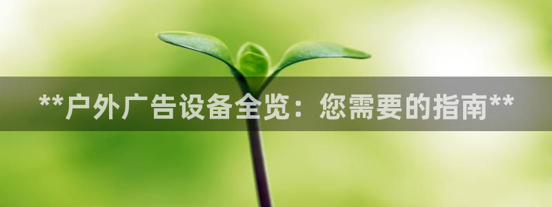 杏宇平台好吗