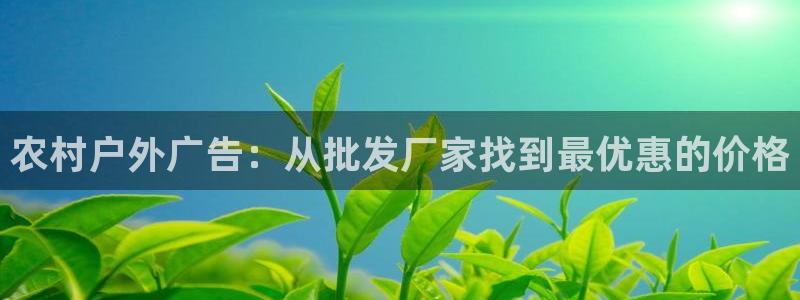杏宇平台代理怎么样啊：农村户外广告：从批发厂家找到最优惠的价格