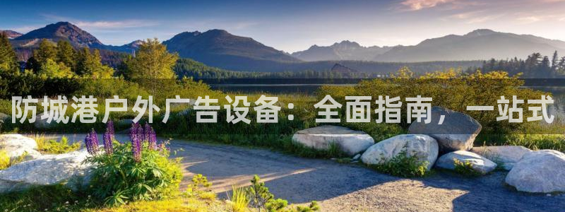 杏宇平台官网注册