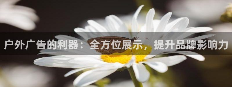 杏宇平台登陆