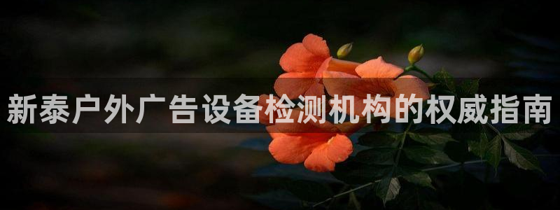 杏宇官方平台官网下载