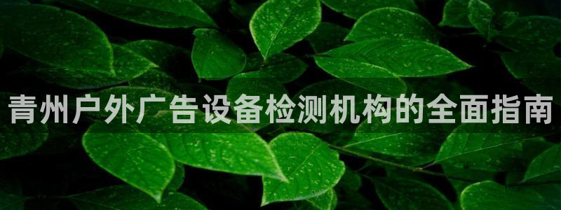 杏宇平台代理多少钱一个月