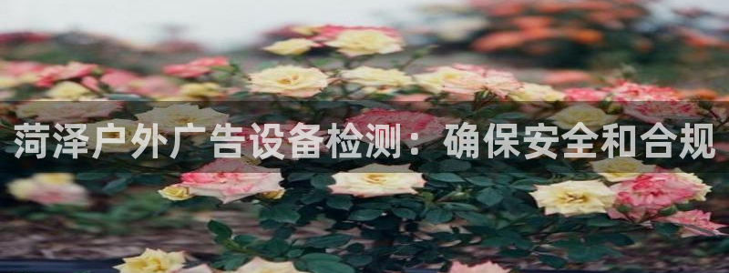 杏宇平台注册登录