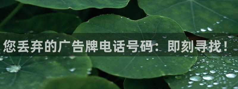 杏宇平台登录步骤