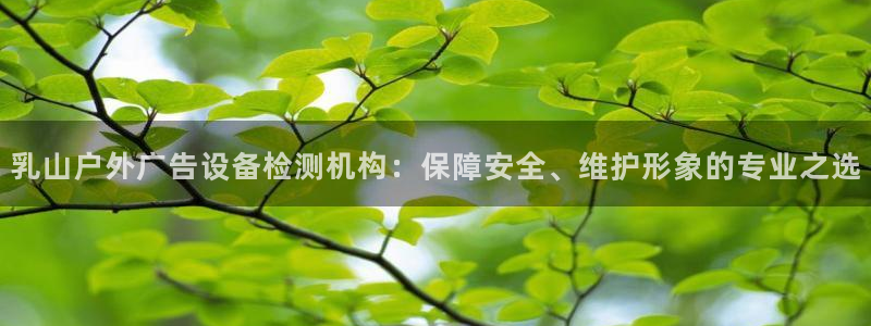 杏宇平台提现为什么这么久呢
