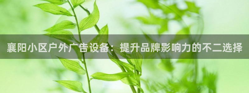 杏宇平台怎么样赚钱