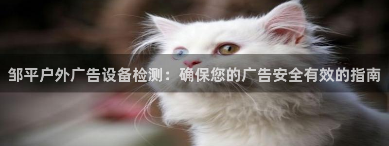 杏宇官方平台官网入口