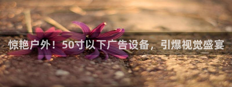 杏宇平台主管