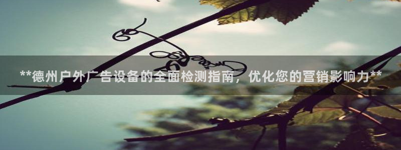 杏宇平台招商
