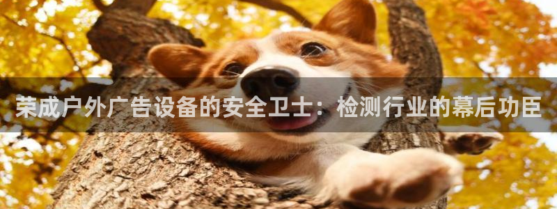 杏宇平台招商电话号码