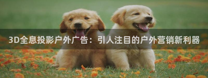 杏宇平台代理怎么赚钱的