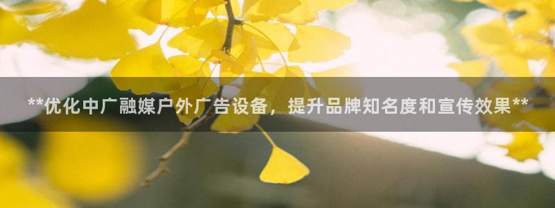 杏宇官方平台官网下载