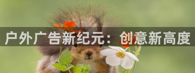 杏宇平台怎么样
