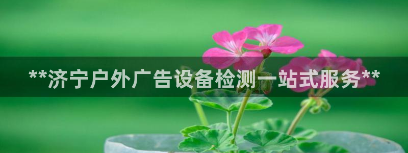 杏宇平台登录步骤图