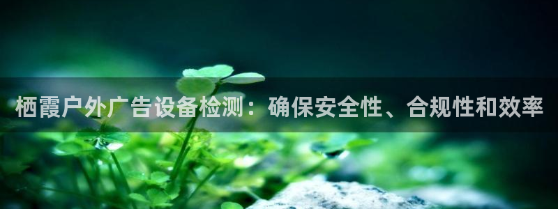 杏宇平台代理怎么赚钱的