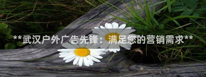 杏宇平台怎么样