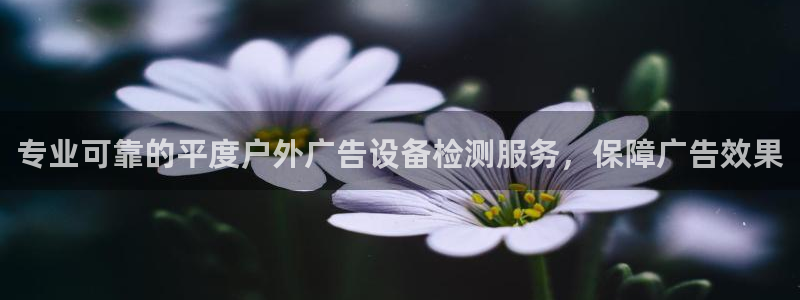 杏宇平台好吗