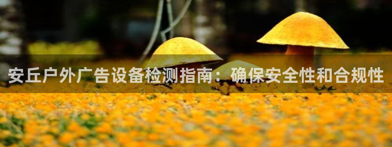 杏宇平台代理多少钱一个月