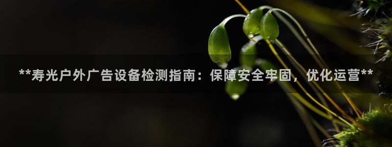 杏宇平台登录步骤图