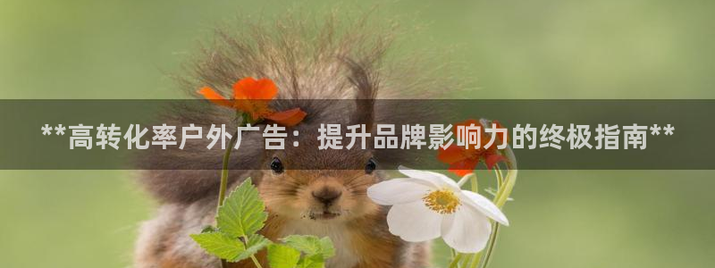 杏宇平台代理怎么样啊：**高转化率户外广告：提升品牌影响力的终极指南**