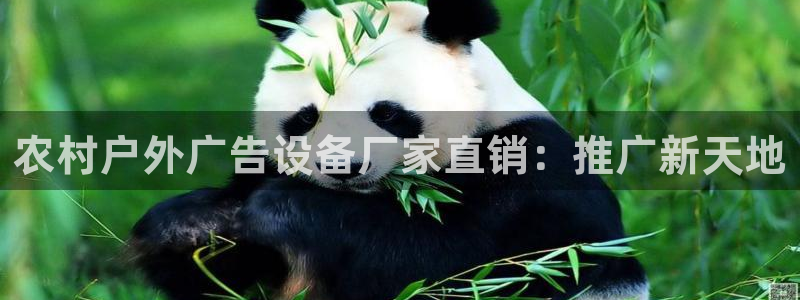 杏宇平台官网注册
