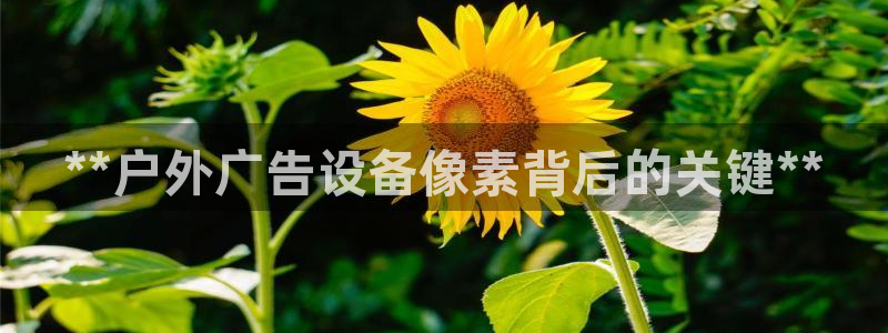 杏宇平台怎么样：**户外广告设备像素背后的关键**