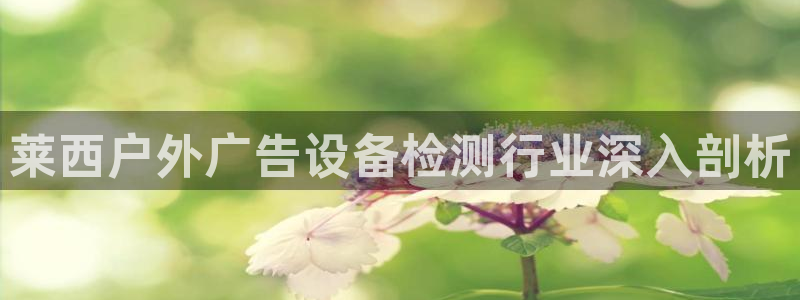 杏宇平台主管