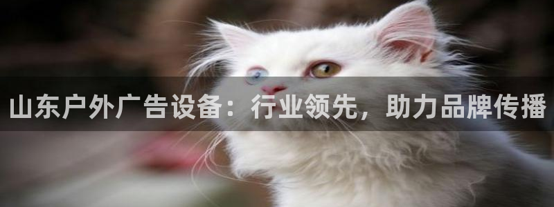 杏宇平台注册地址在哪里