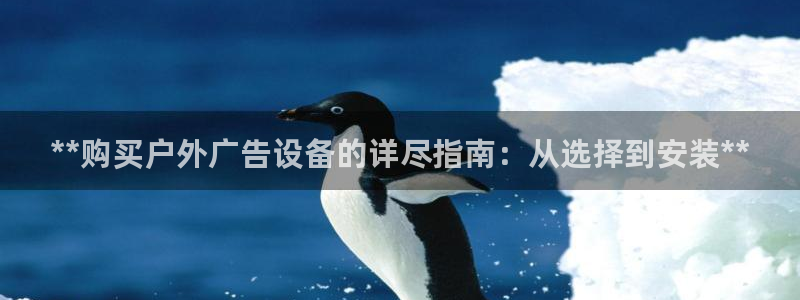 杏宇官方平台官网：**购买户外广告设备的详尽指南：从选择到安装**