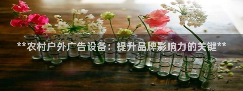 杏宇平台代理怎么样：**农村户外广告设备：提升品牌影响力的关键**