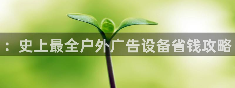 杏宇平台总代理电话