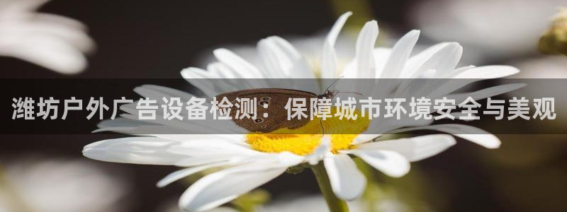 杏宇平台测速链接
