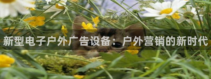 杏宇平台代理怎么样可靠吗