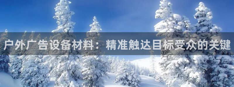 杏宇平台主管