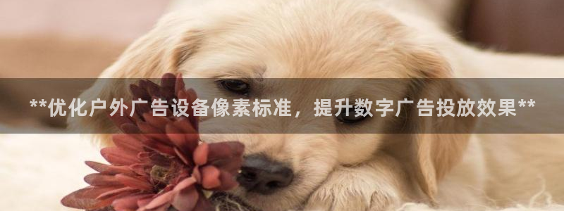 杏宇平台提现为什么这么久呢：**优化户外广告设备像素标准，提升数字广告投放效果**