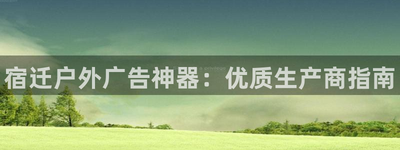 杏宇平台主管