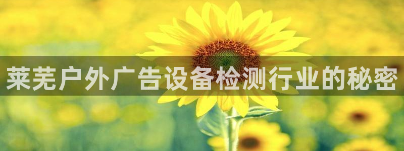 杏宇平台注册登录