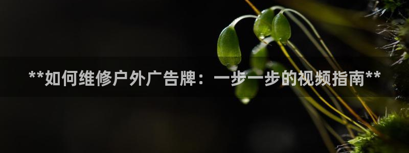 杏宇平台代理多少钱一个