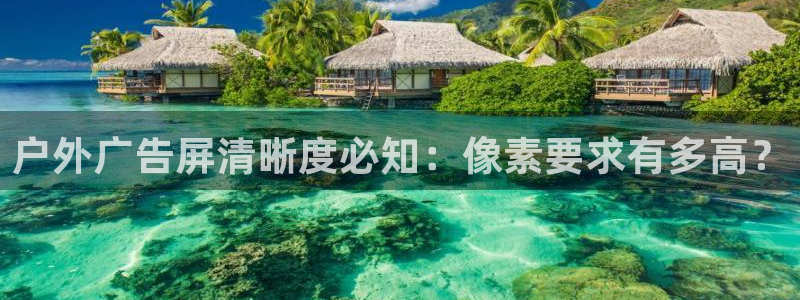 杏宇平台代理怎么样啊