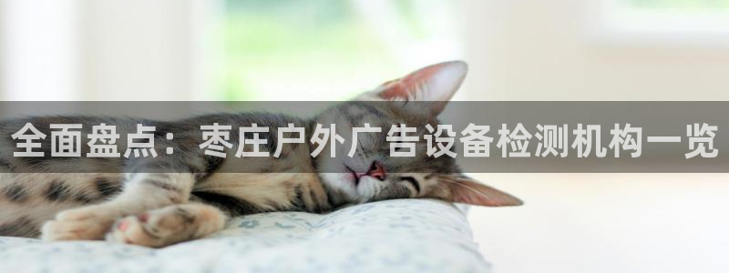 杏宇平台开户