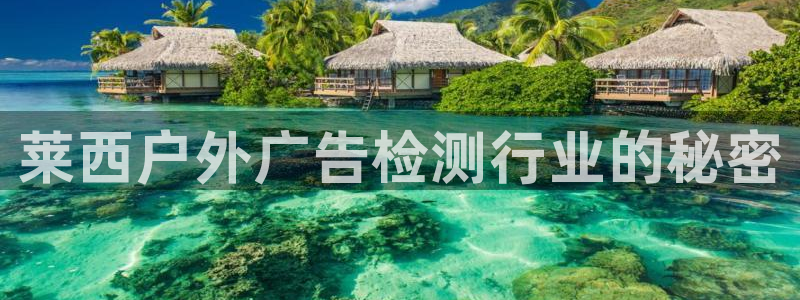 杏宇平台测速链接