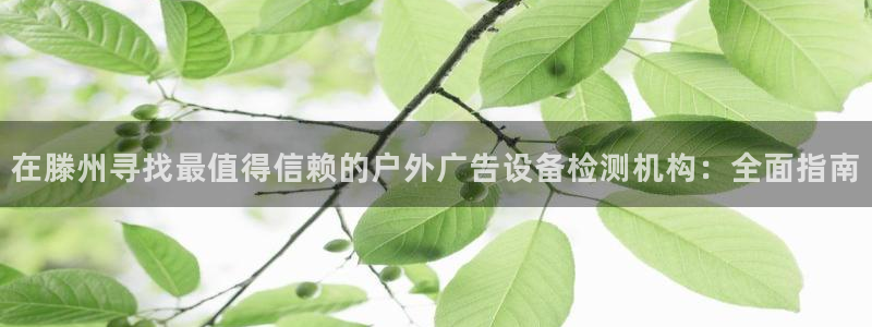 杏宇平台怎么样赚钱：在滕州寻找最值得信赖的户外广告设备检测机构：全面指南