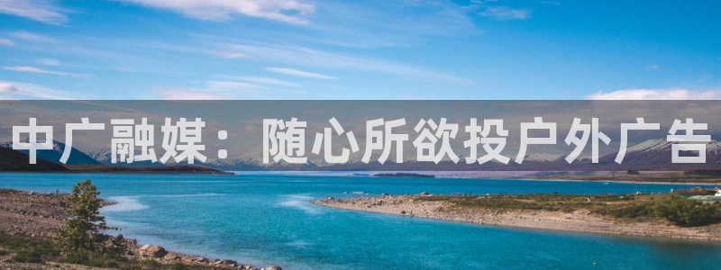 杏宇平台登录步骤图