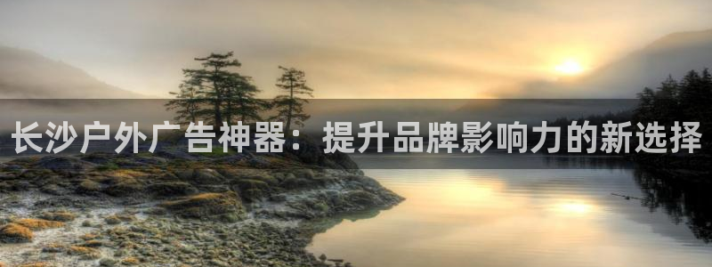 杏宇平台登陆